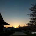 名城公園 彫刻の庭から見る朝日