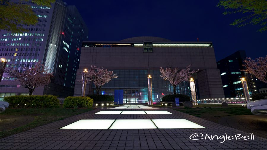 愛知芸術文化センターと夜桜