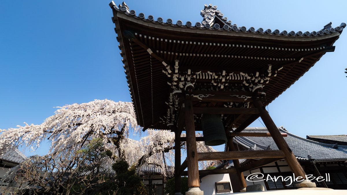 愛知県犬山城下町 圓明寺