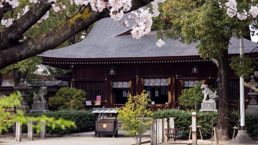 名古屋総鎮守 若宮八幡社と桜