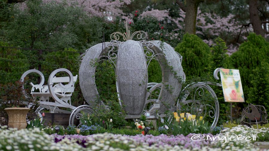 名城公園 モデルガーデン 写真スポット