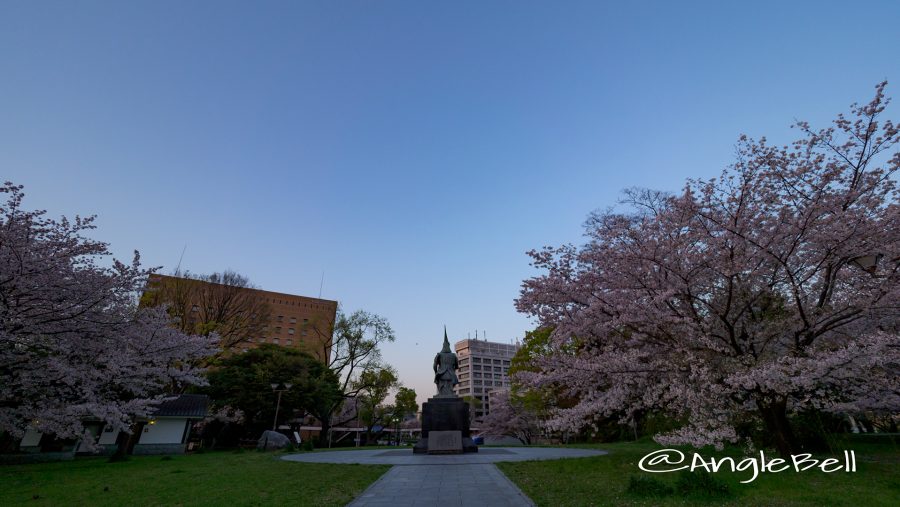 後ろ姿 加藤清正像と桜 名城公園