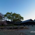 早朝 名城公園 彫刻の庭 水広場