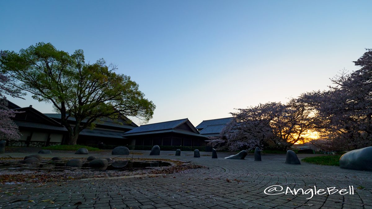 彫刻の庭 水広場から見る朝日