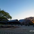 彫刻の庭 水広場から見る朝日