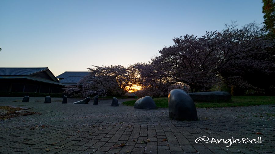 名城公園 彫刻の庭 水広場から見る朝日