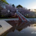 早朝 名城公園北園 日時計