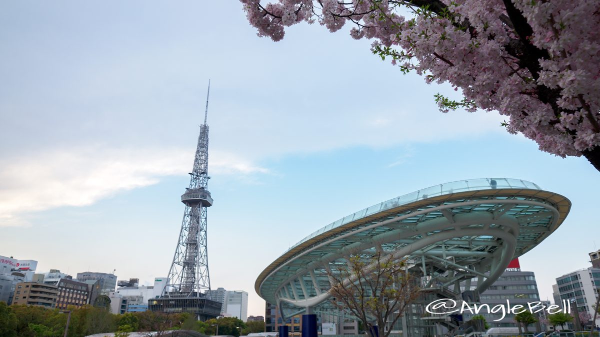 Nagoya TV Tower Oasis21 Cherry Blossoms