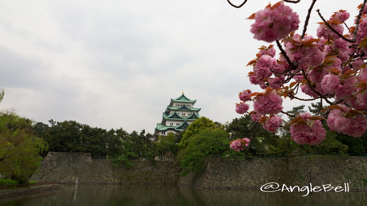 八重桜と名古屋城