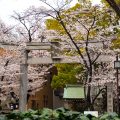 若宮大通から見る若宮八幡宮