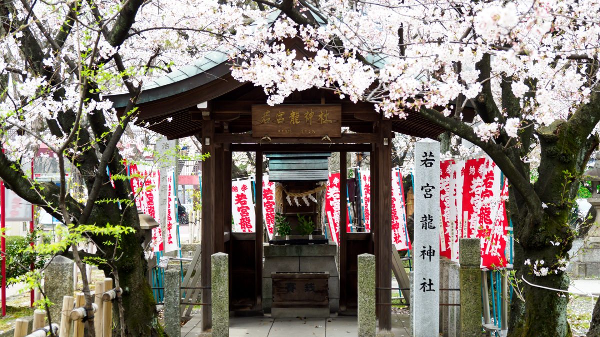 若宮八幡宮 若宮龍神社