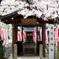 若宮八幡宮 若宮龍神社