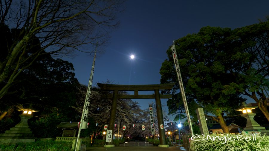 愛知縣護國神社 鳥居と月