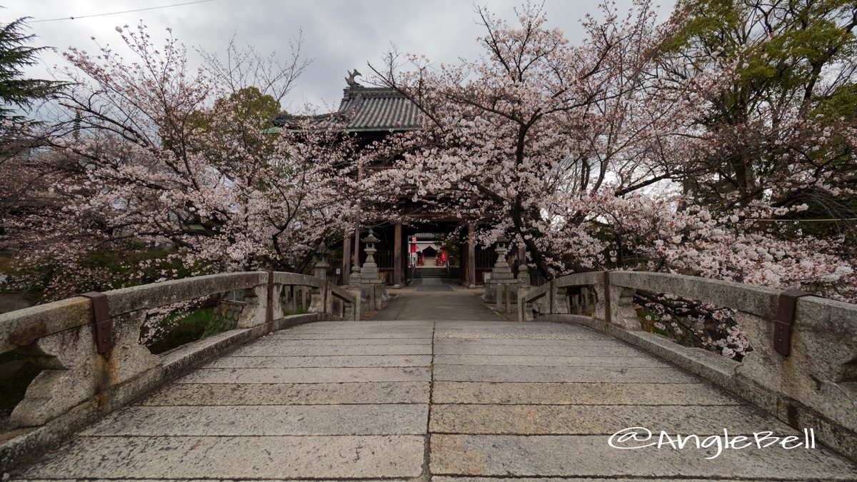 尾張四観音 笠寺観音 (名古屋)