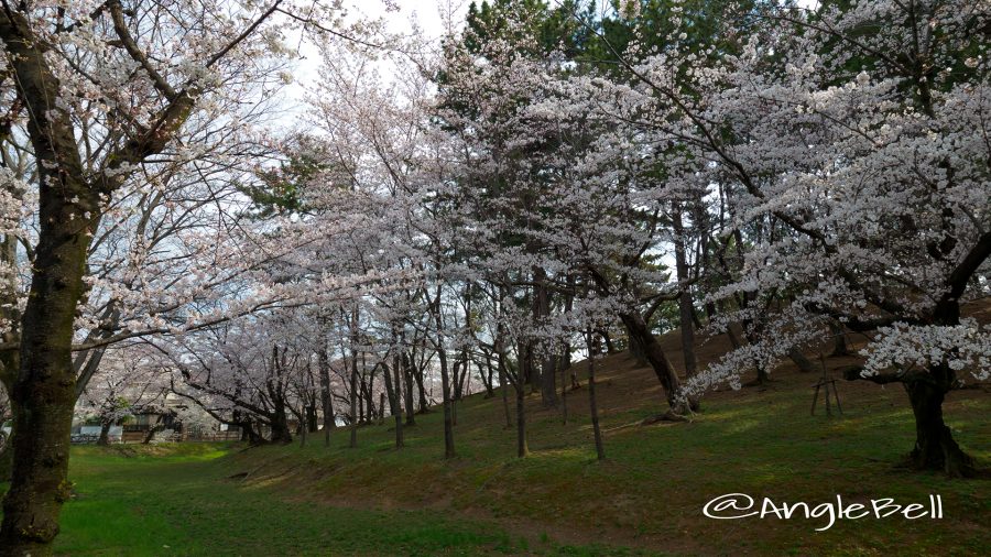 八幡山古墳 昭和区山脇町(名古屋市)