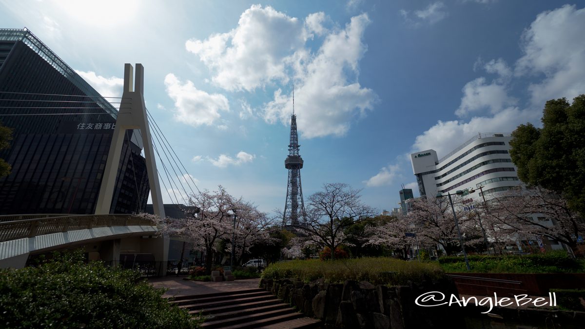 ロサンゼルス広場 テレビ塔と桜