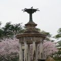 鶴舞公園 噴水塔と桜