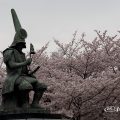 加藤清正像と桜 名城公園