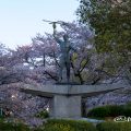 名城公園北園 青年像と桜