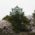 御深井丸外堀北側から見る名古屋城天守閣