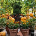 久屋大通庭園フラリエ ハロウィン2019