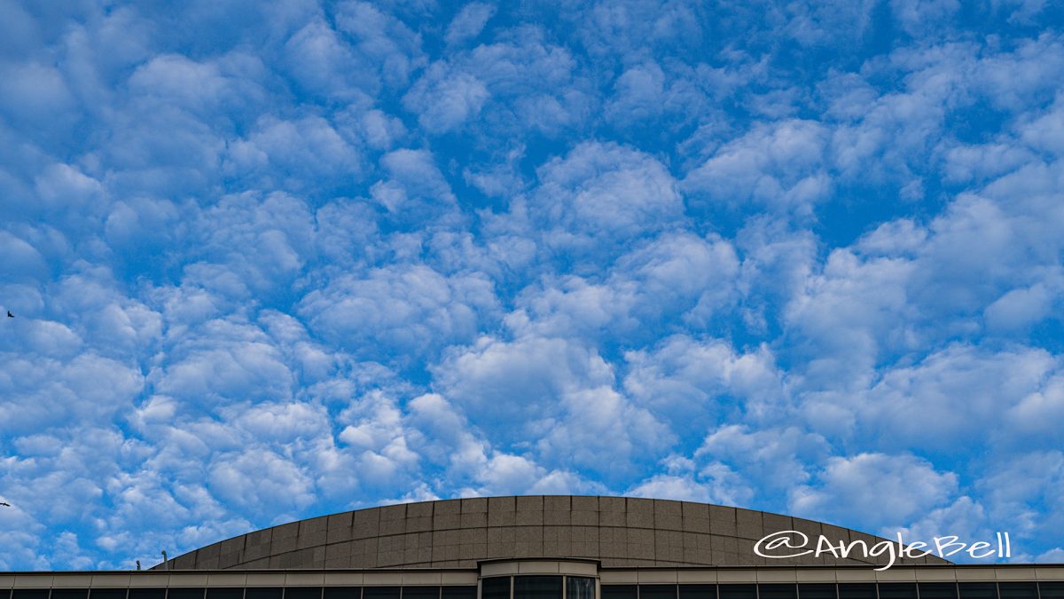 秋空 高積雲と愛知芸術文化センター