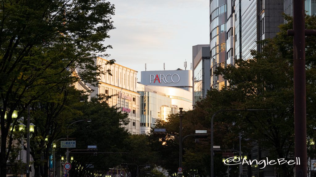 南大津通歩行者天国 夕景 Autumn 2019