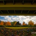 若宮大通 花の広場 北側 (若宮大通公園)