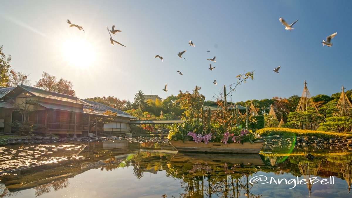 白鳥庭園 清羽亭と雪吊り 宮の渡し広場 (あかりアート ) 2019