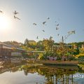 白鳥庭園 清羽亭と雪吊り 宮の渡し広場 (あかりアート ) 2019