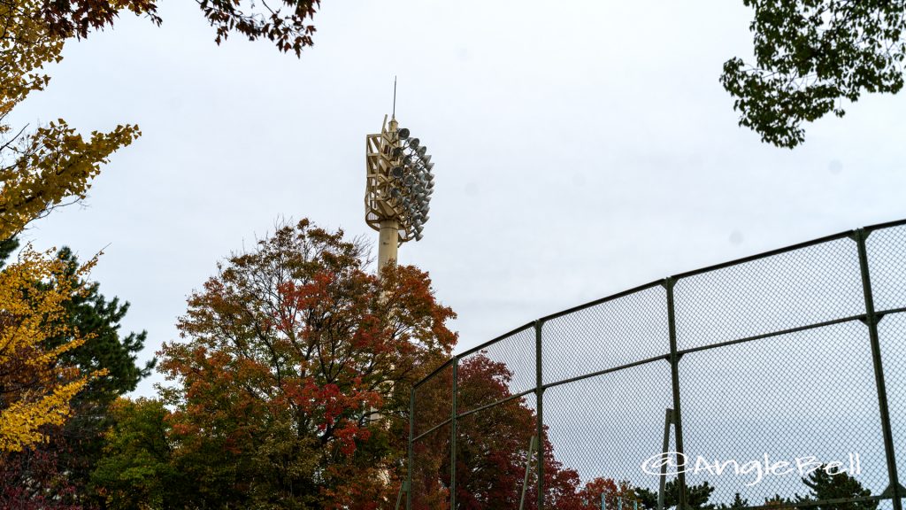 紅葉 鶴舞公園 野球場 ナイター照明塔