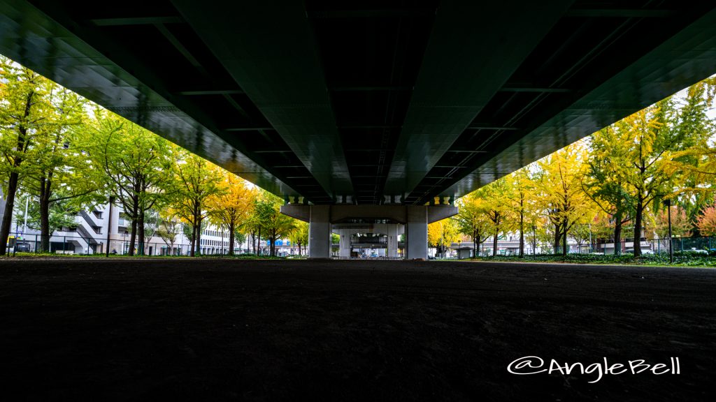 若宮大通公園 ミニスポーツ広場 秋 2019