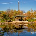 鶴舞公園 四阿 春日亭 2019秋