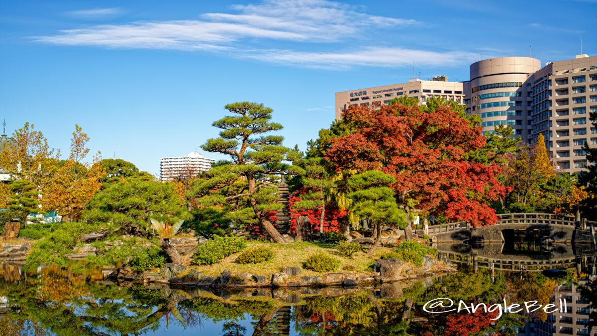 中ノ島と鈴菜橋 黄葉 2019年秋