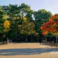 鶴舞公園 鈴菜橋 紅葉 2019年秋