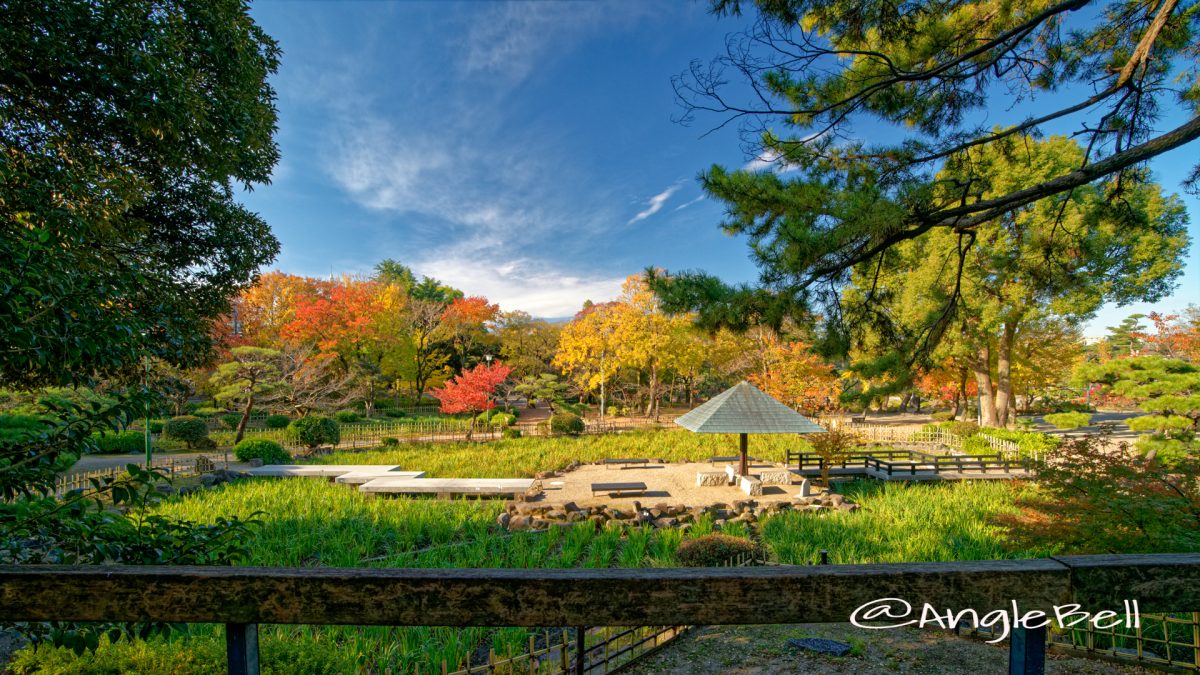 鶴舞公園 菖蒲池 全景 2019年秋