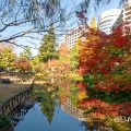 鶴舞公園 秋の池 December,2019