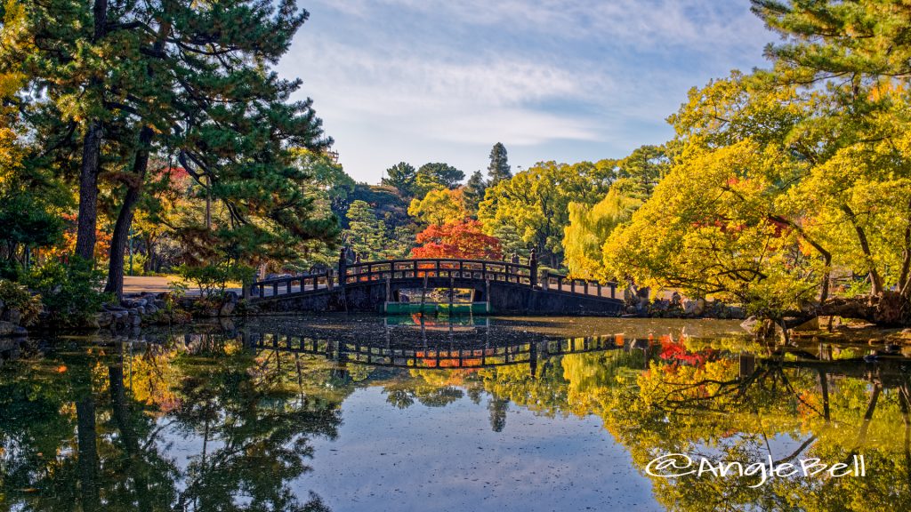 鶴舞公園 紅葉 鈴菜橋と胡蝶が池 2019秋