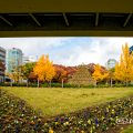 若宮大通 花の広場 南側 (若宮大通公園)