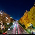 夜景 若宮ブリッジから見る若宮大通 街路樹