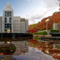 芸術と科学の杜 白川公園内 名古屋市美術館（南側）2019