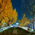 夜景 矢場ブリッジ (若宮大通公園 水の広場)2019年冬