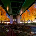 夜景 若宮大通 水の広場 西側 (若宮大通公園) 2019