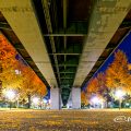 夜景 若宮大通 彫刻の広場 奥 (若宮大通公園)