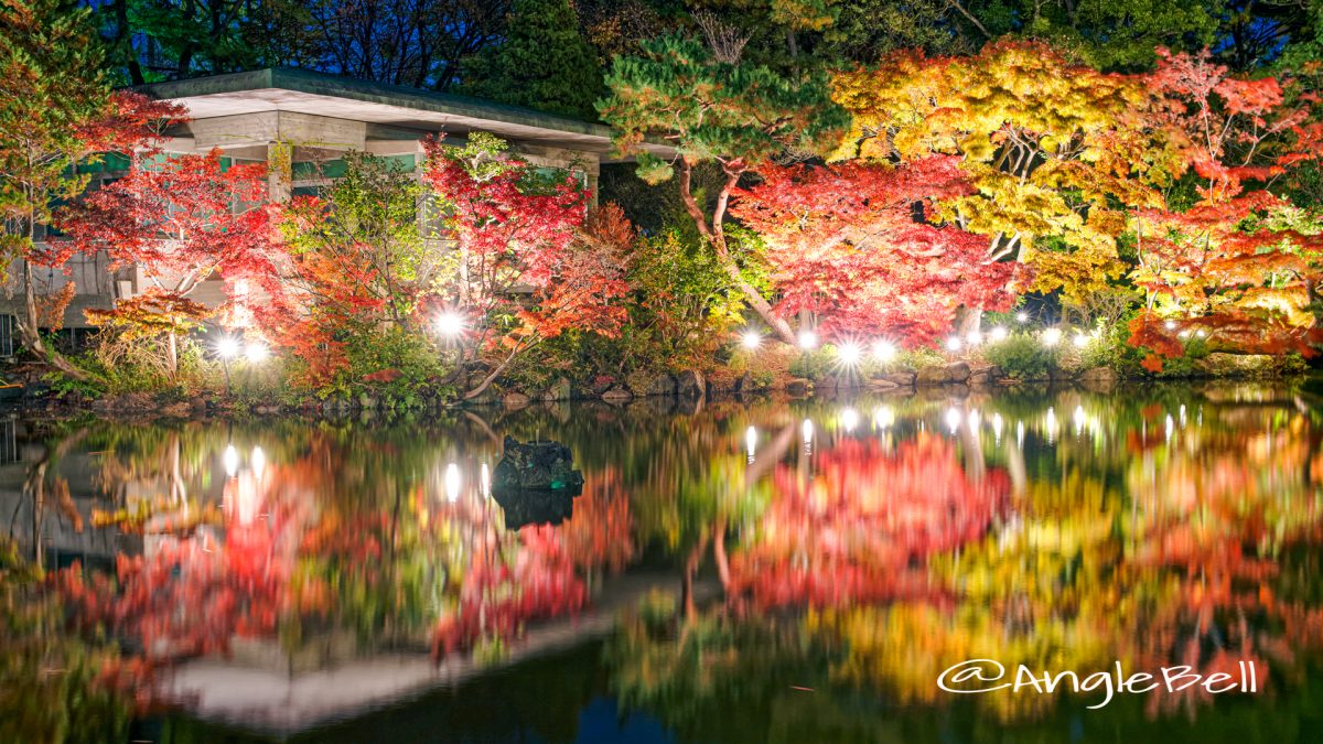 紅葉ライトアップ 鶴舞公園 秋の池 2019年12月