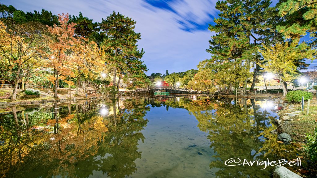 夜景 鶴舞公園 鈴菜橋と胡蝶ヶ池 2019冬