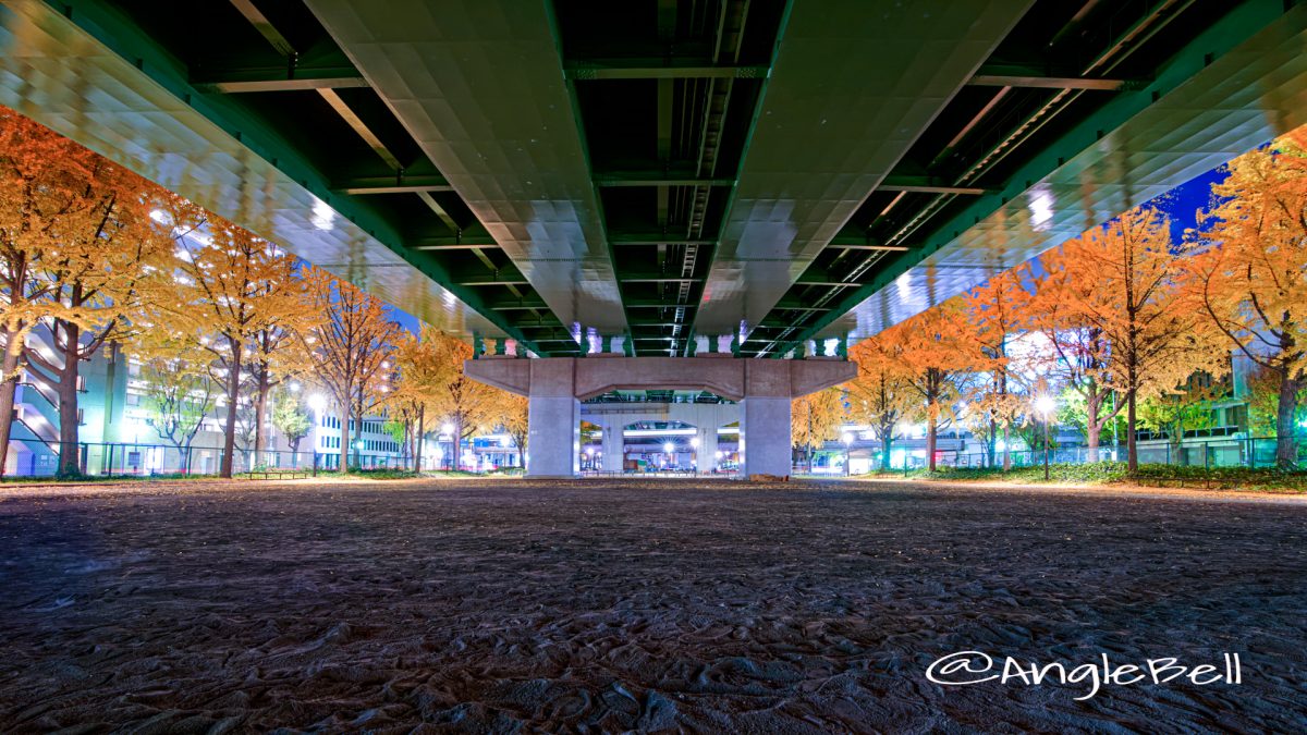 夜景 若宮大通 ミニスポーツ広場 (若宮大通公園) 2019年冬