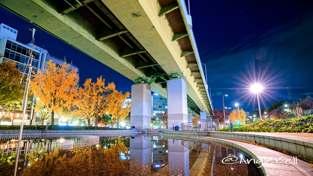 夜景 若宮大通 水の広場 東側 (若宮大通公園)