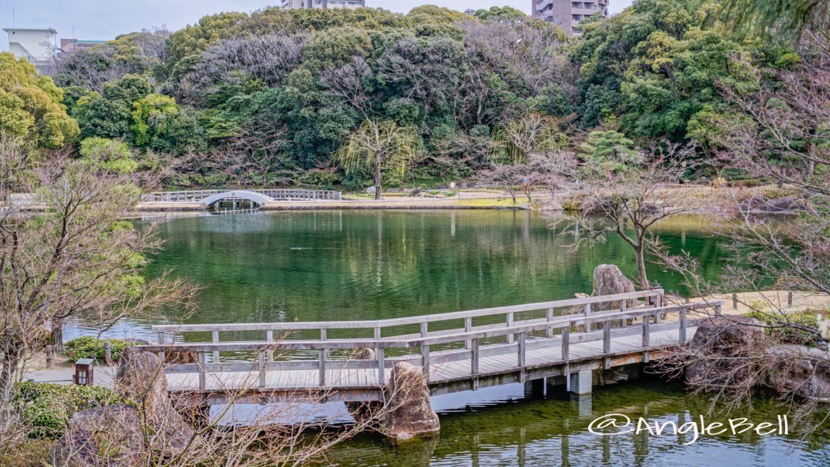 徳川園 瑞龍亭側から見る龍仙湖と太鼓橋