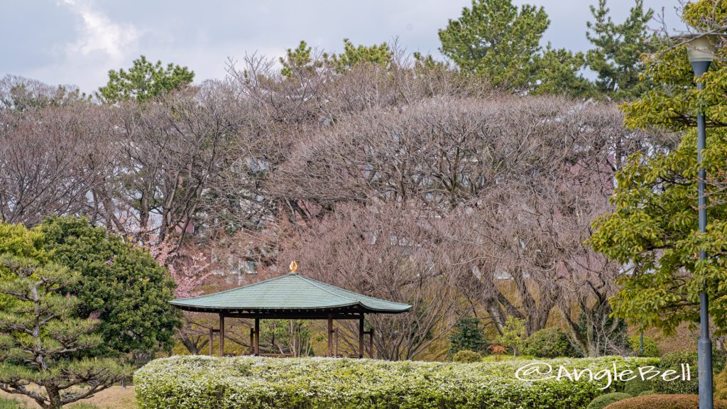 名古屋城 二之丸東庭園 四阿 March 2020